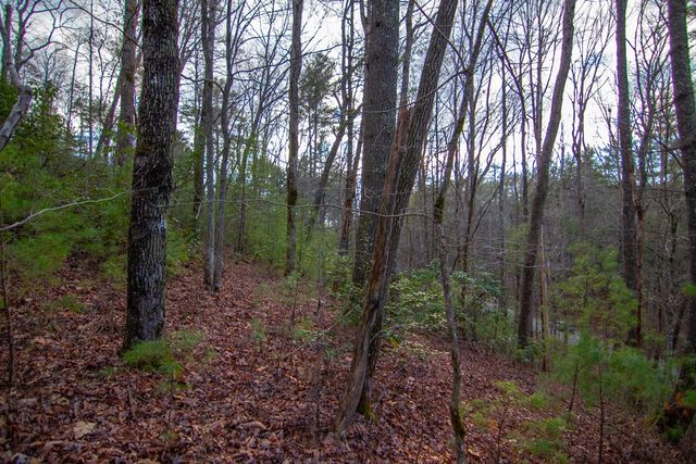 1 Rock Creek, Cherry Log, GA 30522
