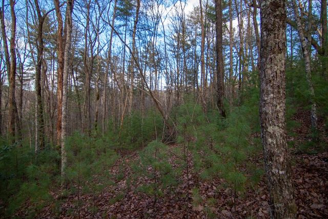 1 Rock Creek, Cherry Log, GA 30522