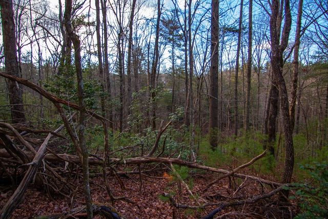 1 Rock Creek, Cherry Log, GA 30522