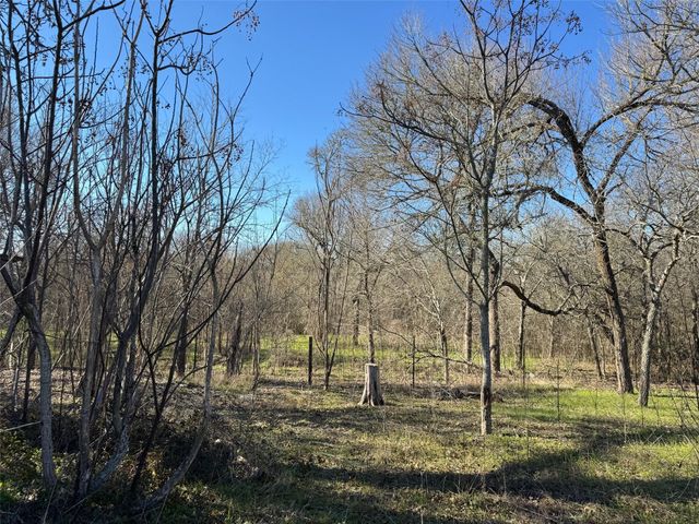 TBD TBD DR, Cedar Creek, TX 78612