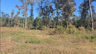 Tract C-3 Gaff Road, Magnolia, TX 77355