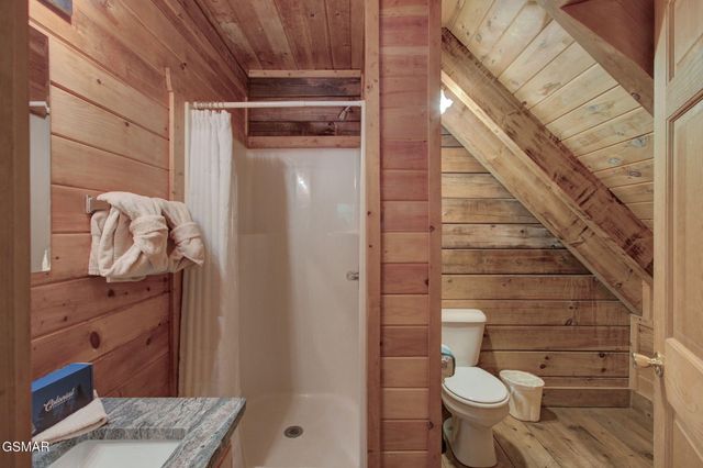 510 Hoot Owl Way, Gatlinburg, TN 37738