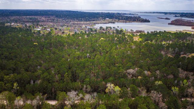 TBD Tract 1 Triple Creek Loop, Livingston, TX 77351