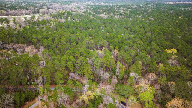TBD Tract 1 Triple Creek Loop, Livingston, TX 77351