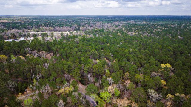 TBD Tract 1 Triple Creek Loop, Livingston, TX 77351