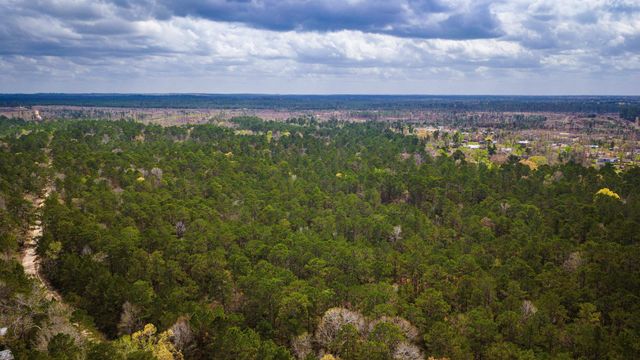 TBD Tract 1 Triple Creek Loop, Livingston, TX 77351