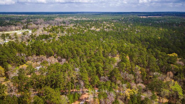 TBD Tract 1 Triple Creek Loop, Livingston, TX 77351