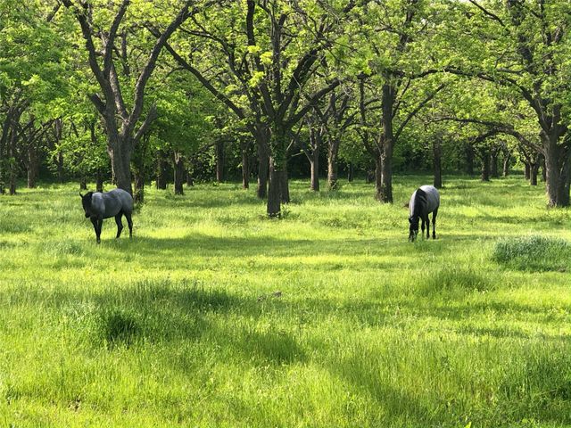 11320 County Road 528, Mansfield, TX 76063