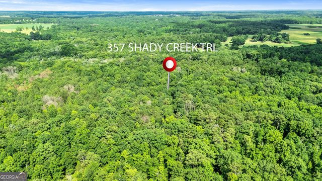 357 Shady Creek Trail, Williamson, GA 30292