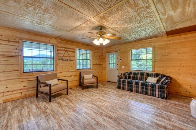 602+557 Hidden Pines Court, Hiawassee, GA 30546