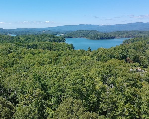 602+557 Hidden Pines Court, Hiawassee, GA 30546