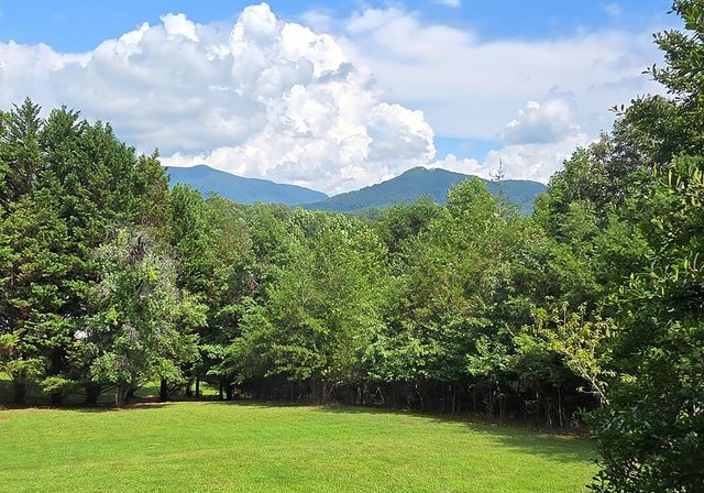 602+557 Hidden Pines Court, Hiawassee, GA 30546