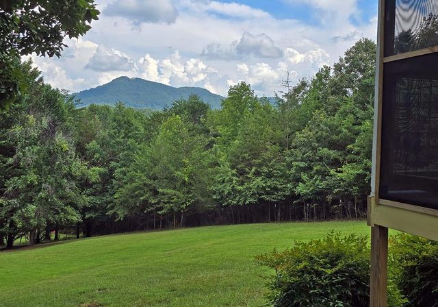602+557 Hidden Pines Court, Hiawassee, GA 30546