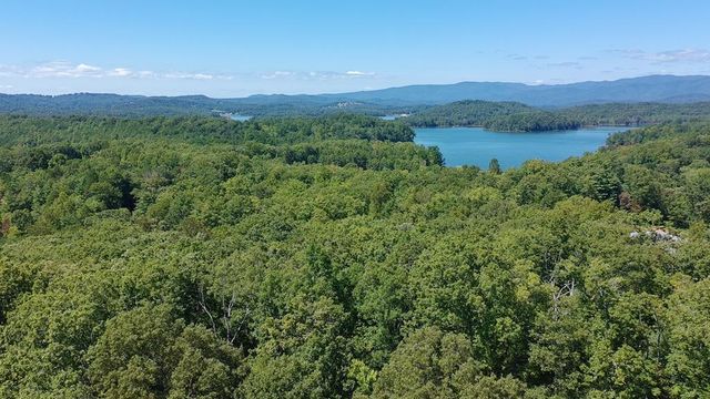 602+557 Hidden Pines Court, Hiawassee, GA 30546
