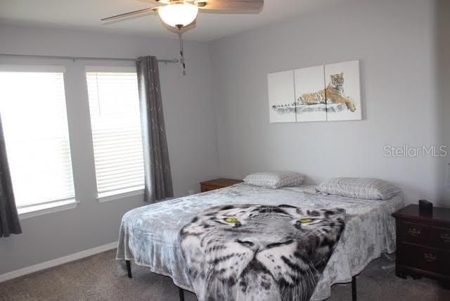 11906 BAHIA VALLEY DRIVE, Riverview, FL 33579