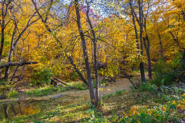 1102 S High Street, Port Byron, IL 61275