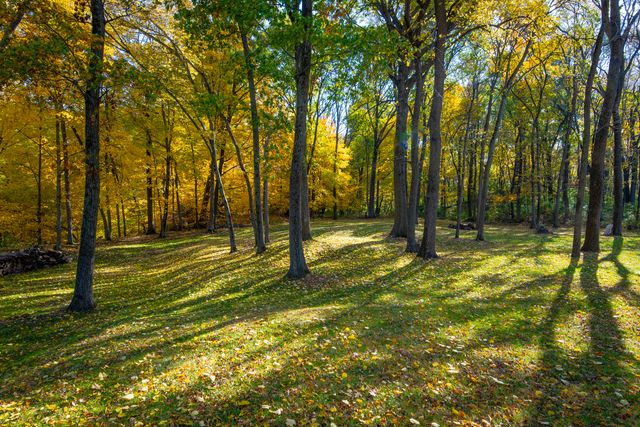 1102 S High Street, Port Byron, IL 61275