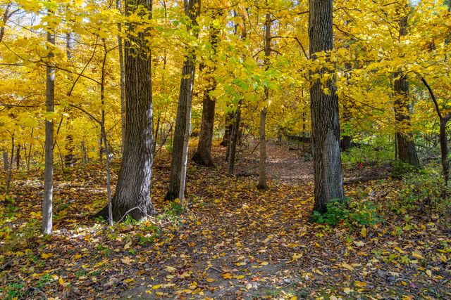 1102 S High Street, Port Byron, IL 61275