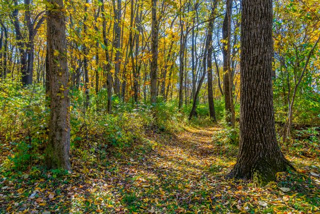 1102 S High Street, Port Byron, IL 61275