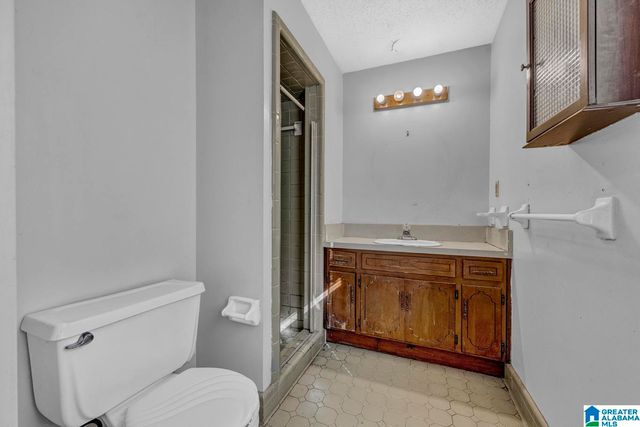 319 BURGUNDY DRIVE, Adamsville, AL 35005