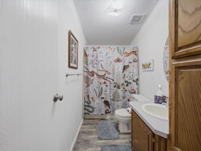 304 Catfish Trail, Bowie, TX 76230