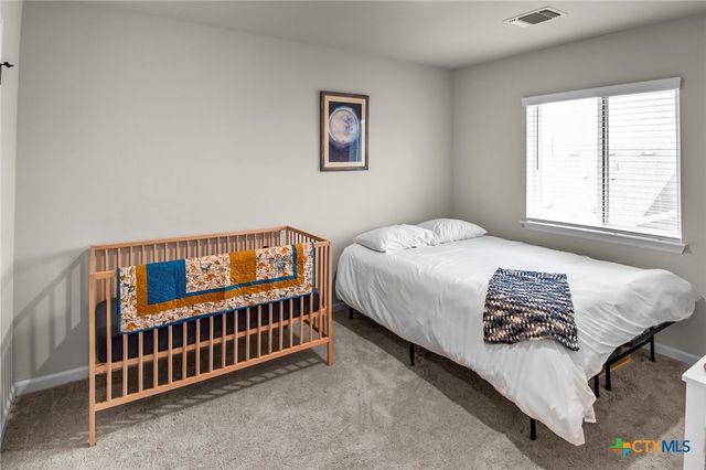 166 Twistleaf Drive, Buda, TX 78610