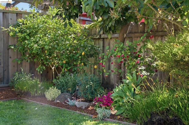 2210 Browning St, Berkeley, CA 94702