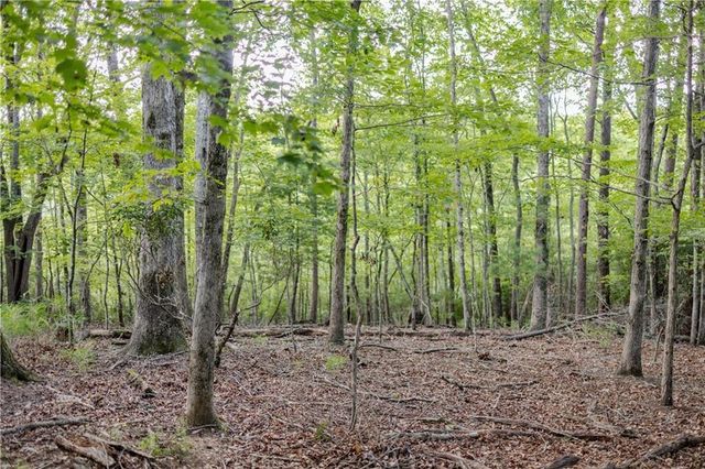 1063 Grindle Bridge Road, Dahlonega, GA 30533