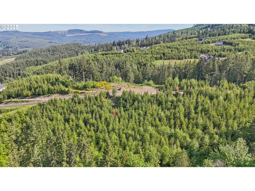 143 BOOTJACK Ln Lot 2, Kelso, WA 98626