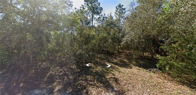 4812 W Foxhill Lane, Homosassa, FL 34446
