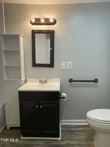 2426 Old Lewis Road, Johnson City, TN 37601