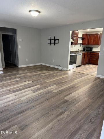 2426 Old Lewis Road, Johnson City, TN 37601