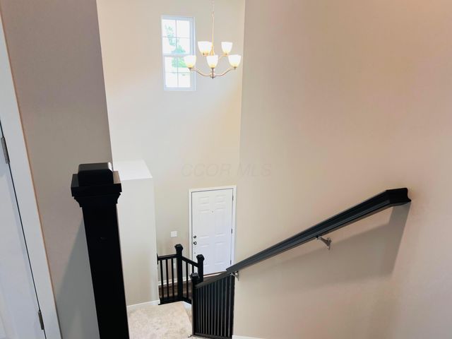 7101 Unitas Loop, Powell, OH 43065