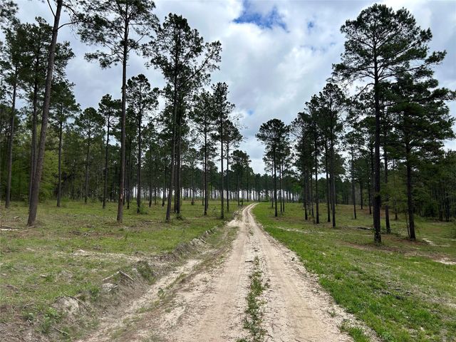 000 Alto Ranch, Alto, TX 75925