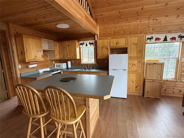 1049 Spencer Mountain Rd, Bellvue, CO 80512