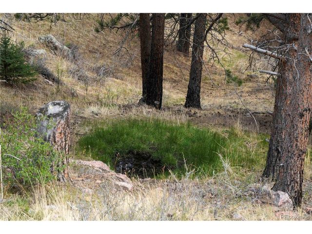 1049 Spencer Mountain Rd, Bellvue, CO 80512