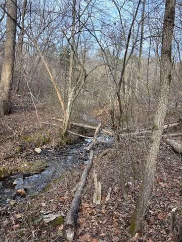 000 County Road 181-286, Willow Springs, MO 65793