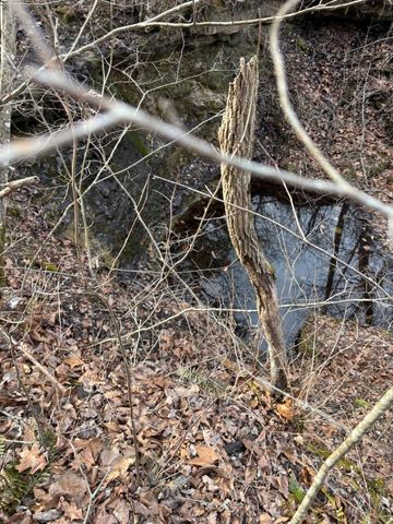 000 County Road 181-286, Willow Springs, MO 65793