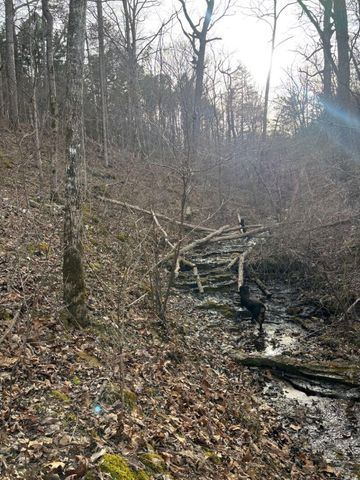 000 County Road 181-286, Willow Springs, MO 65793