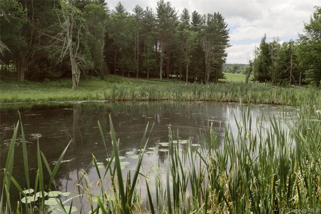 596 Perry Road, Bethel, NY 12720