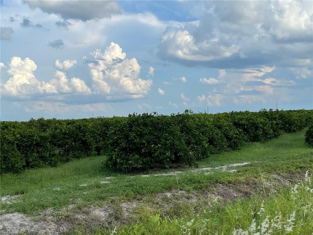 6380 + 6340 6th RD, LABELLE, FL 33935 — exterior