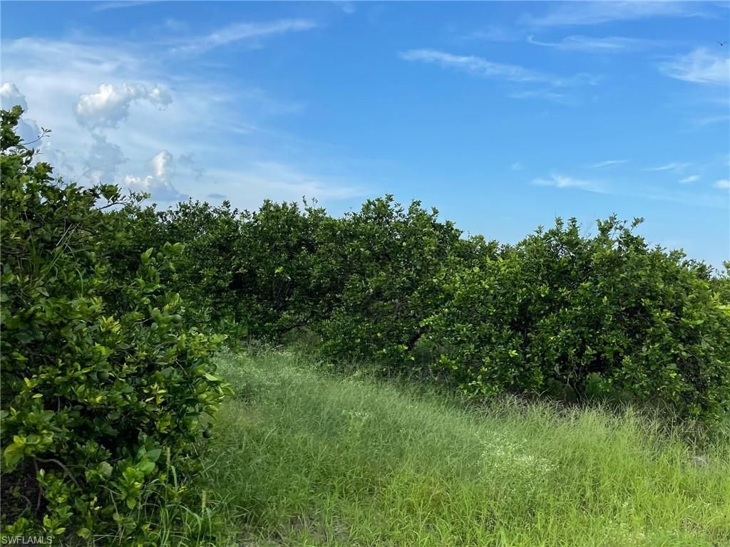 6380 + 6340 6th RD, LABELLE, FL 33935 — photo 2
