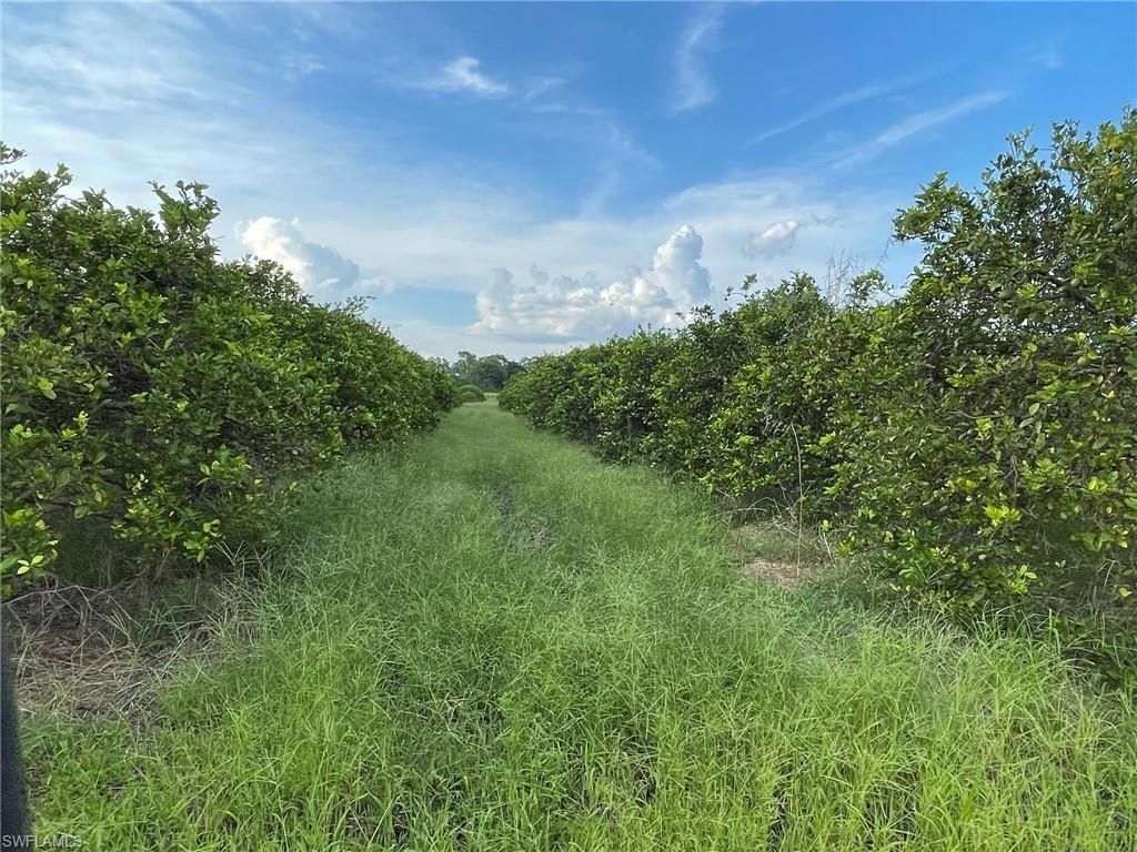 6380 + 6340 6th RD, LABELLE, FL 33935 — photo 3