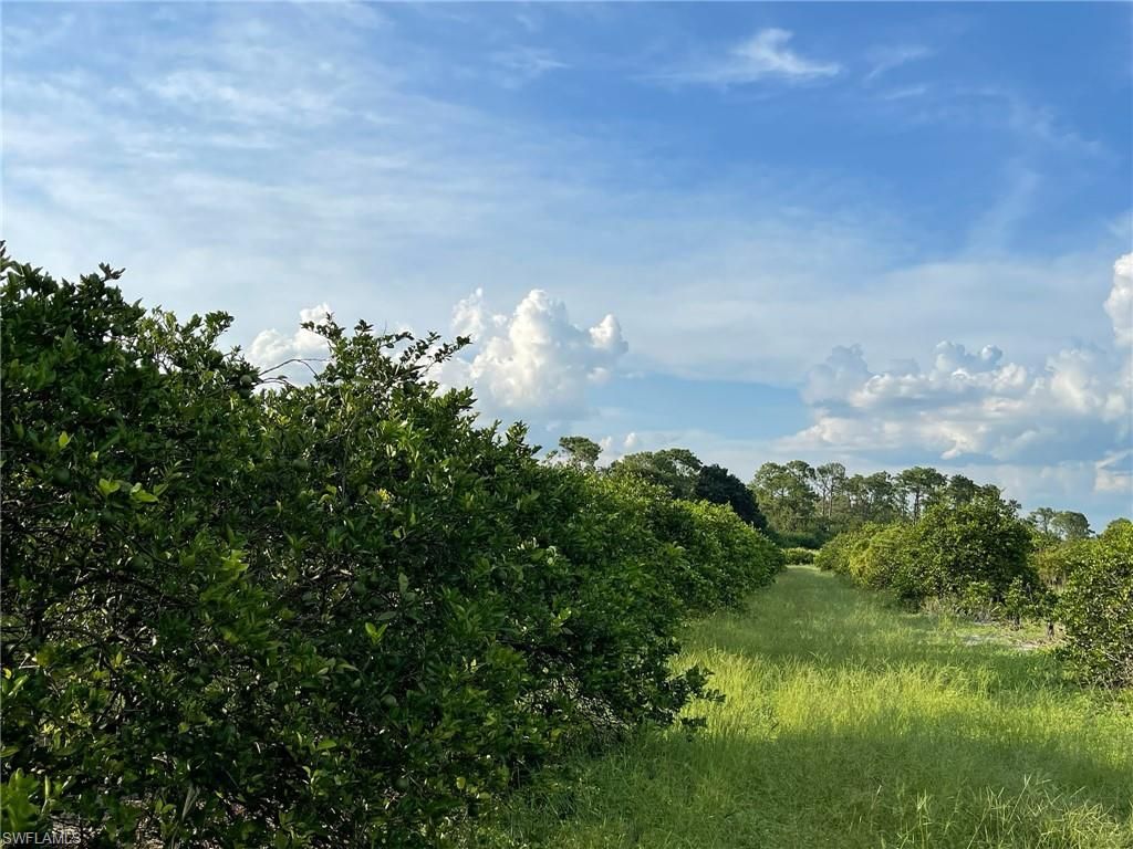 6380 + 6340 6th RD, LABELLE, FL 33935 — photo 4