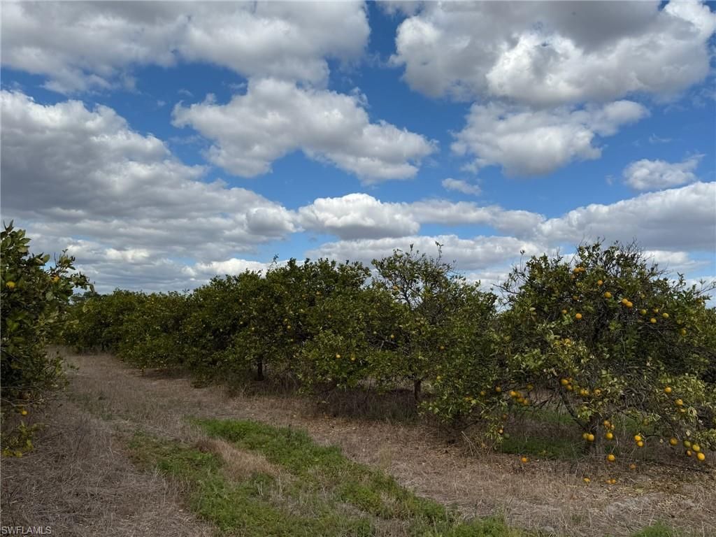 6380 + 6340 6th RD, LABELLE, FL 33935 — photo 5