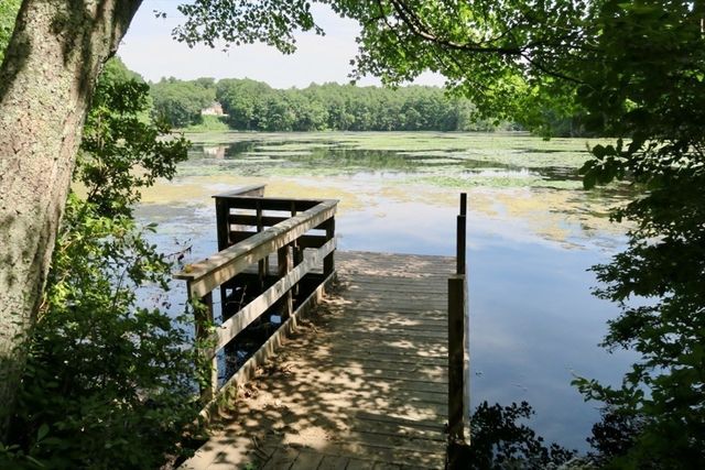 152 Chestnut Cir 152, Lincoln, MA 01773