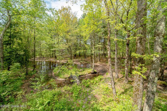 8 Robin Ann Lane, Westerlo, NY 12193