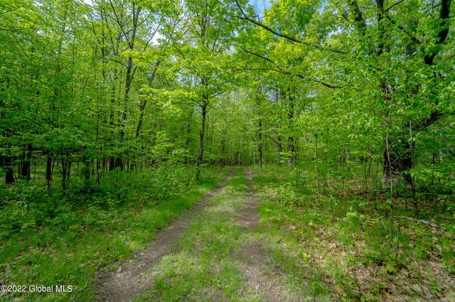 8 Robin Ann Lane, Westerlo, NY 12193