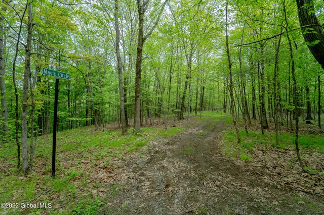 8 Robin Ann Lane, Westerlo, NY 12193