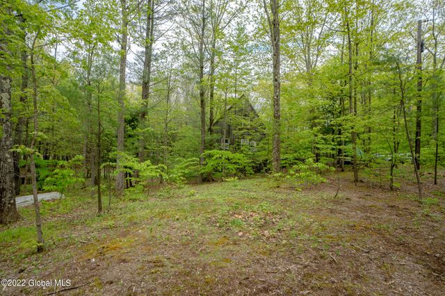 8 Robin Ann Lane, Westerlo, NY 12193